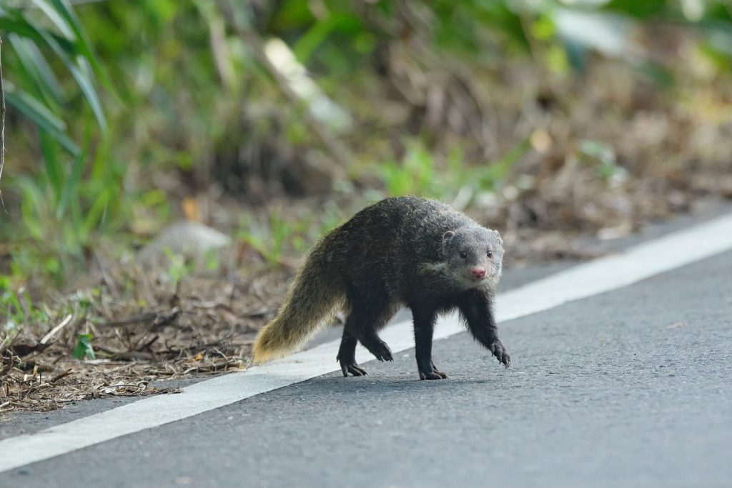 1757939301928 1024x683